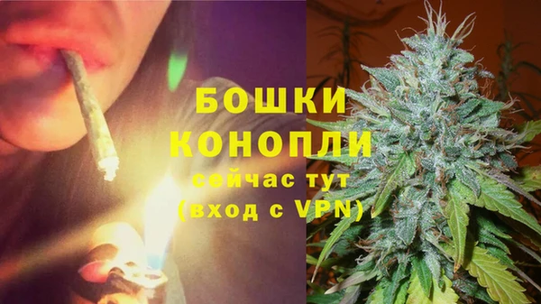 прущие грибы Абаза