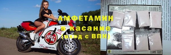 прущие грибы Абаза