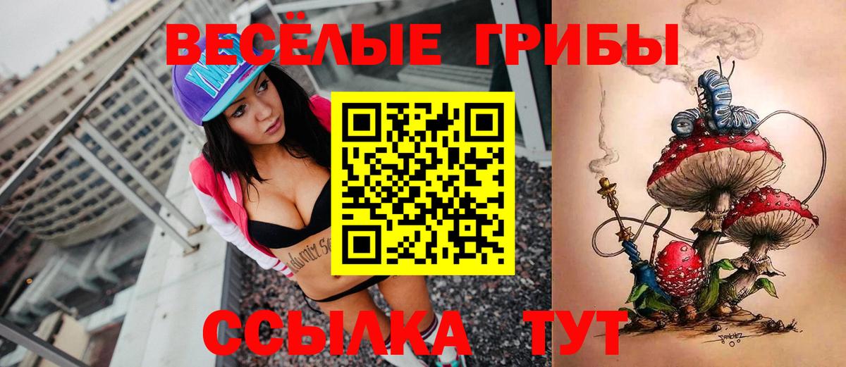 Галлюциногенные грибы Magic Shrooms Тутаев