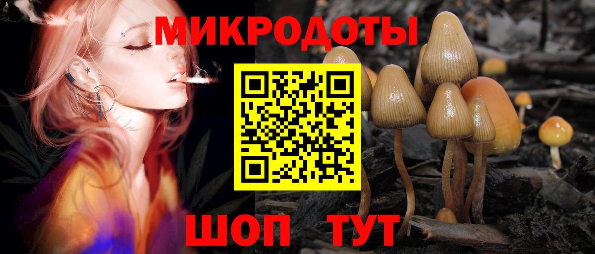 Псилоцибиновые грибы Psilocybine cubensis  дарнет шоп  Псилоцибиновые грибы мицелий  Тутаев  Вход с VPN 